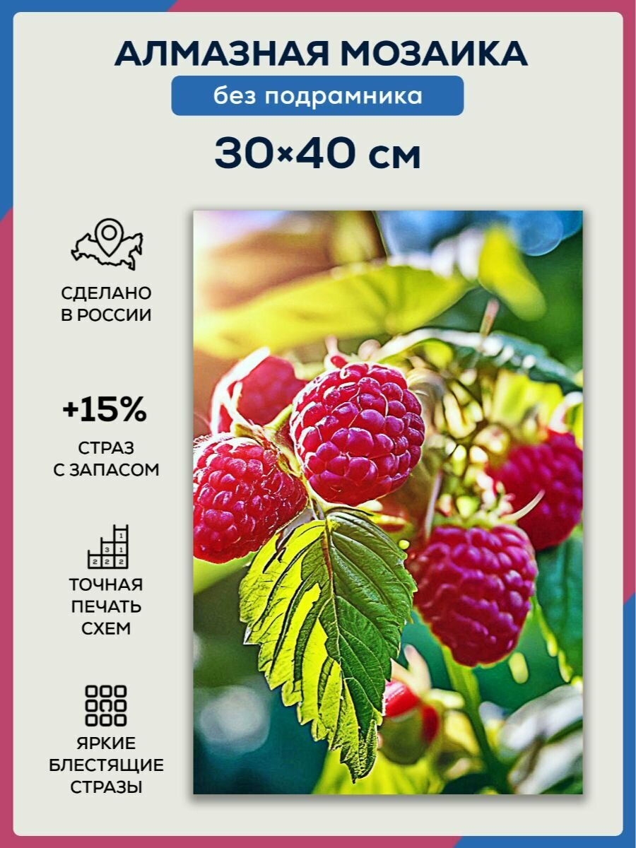 Алмазная мозаика 30x40 Ягоды малина без подрамника
