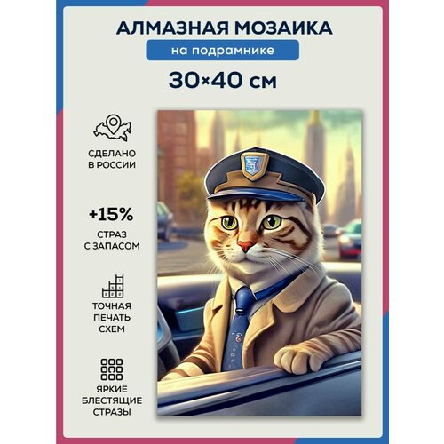 Алмазная мозаика 30x40 Кот - шофер на подрамнике