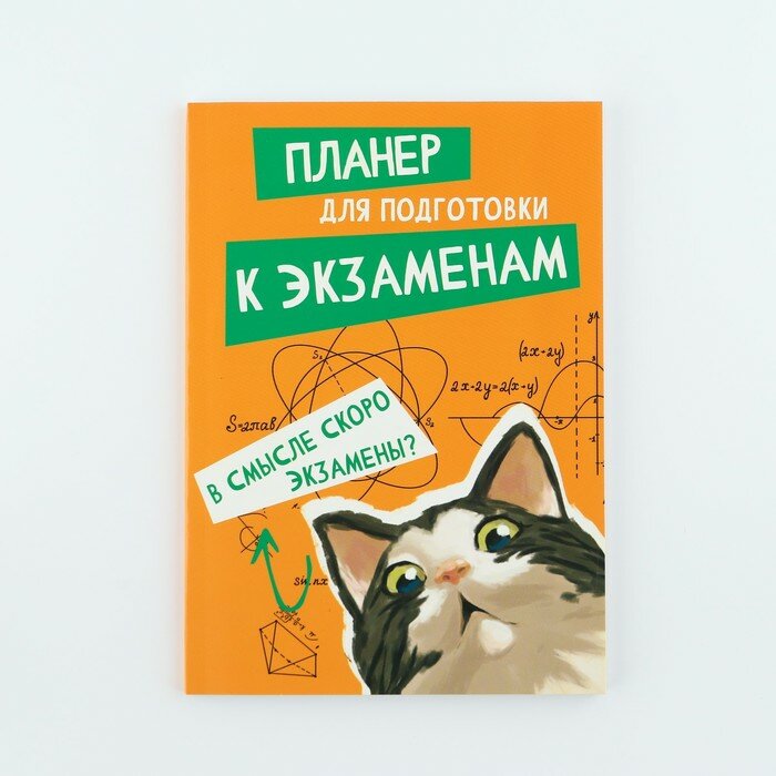 ArtFox Планинг для подготовки к экзаменам, А5 60 л. Мягкая обложка «Кот»