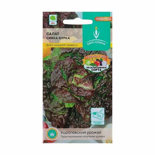 Семена Салат Сивка-бурка листовой, среднеранний, цв/п, 0,5 г ( 1 упаковка )
