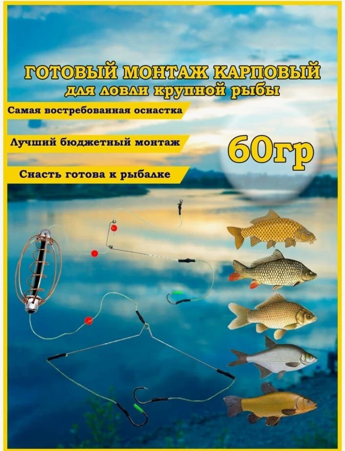 Монтаж рыболовный Карповый для донной снасти 60гр. 1шт.