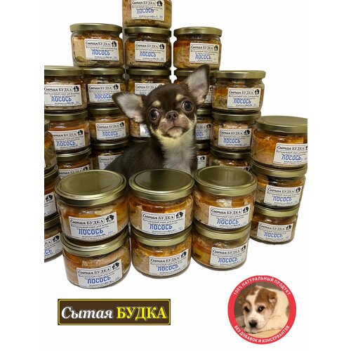 Консервы из цельных брюшек лосося для собак и кошек 