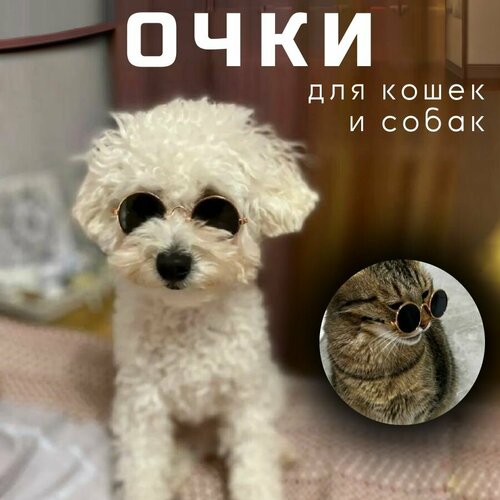 Солнцезащитные очки для кошек, для собак, для животных, очки для животных, для питомцев