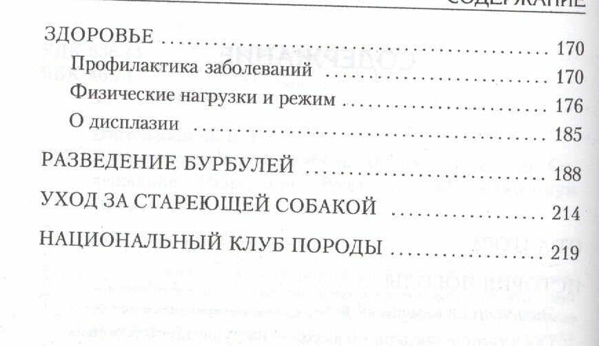 Южноафриканский бурбуль. История. Стандарт. Содержание. Разведение. Выставки - фото №3