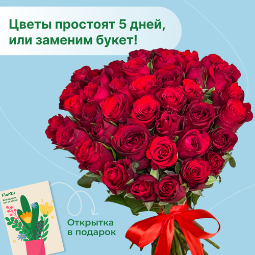 Букет живых цветов из 39 красных роз 35 см с лентой