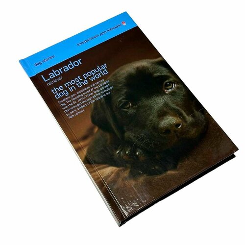 Ежедневник для женщин щенок недатированный А5 128200 499₽