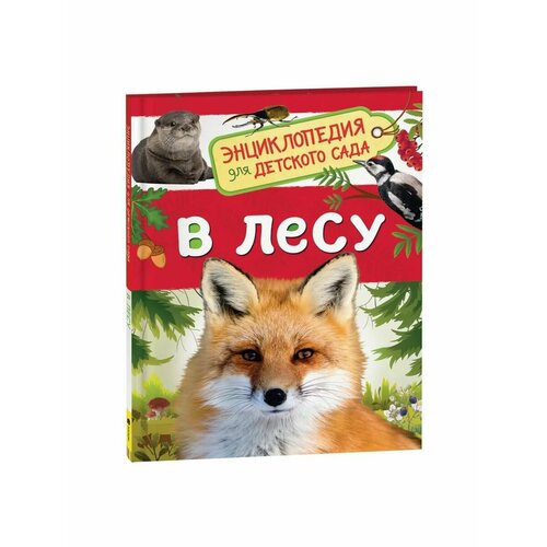 Энциклопедии энциклопедия для детского сада в лесу