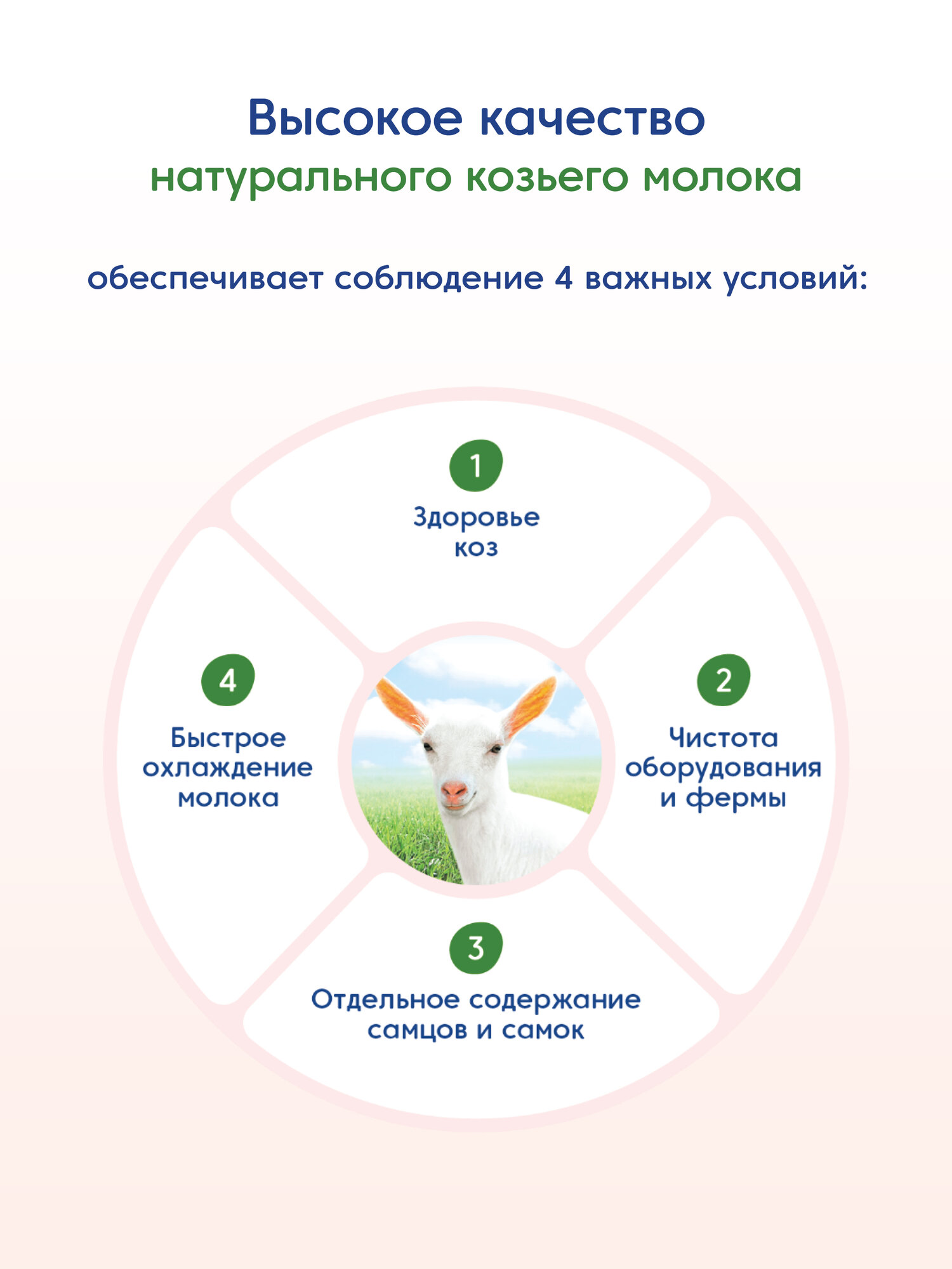 Каша МАМАКО на козьем молоке кукурузная с пребиотиками, с 5 месяцев