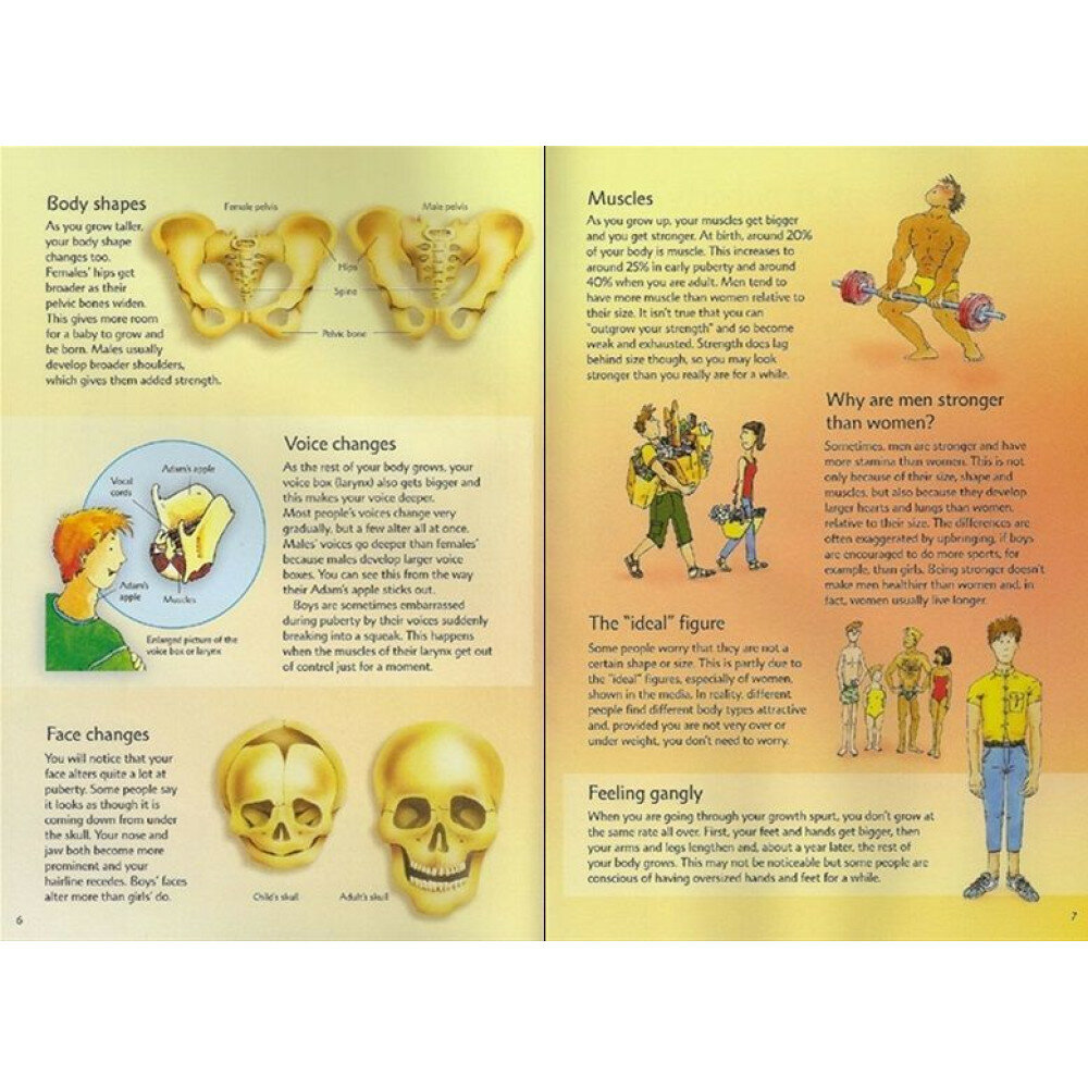Книга Growing Up: All about Adolescence - фото №5