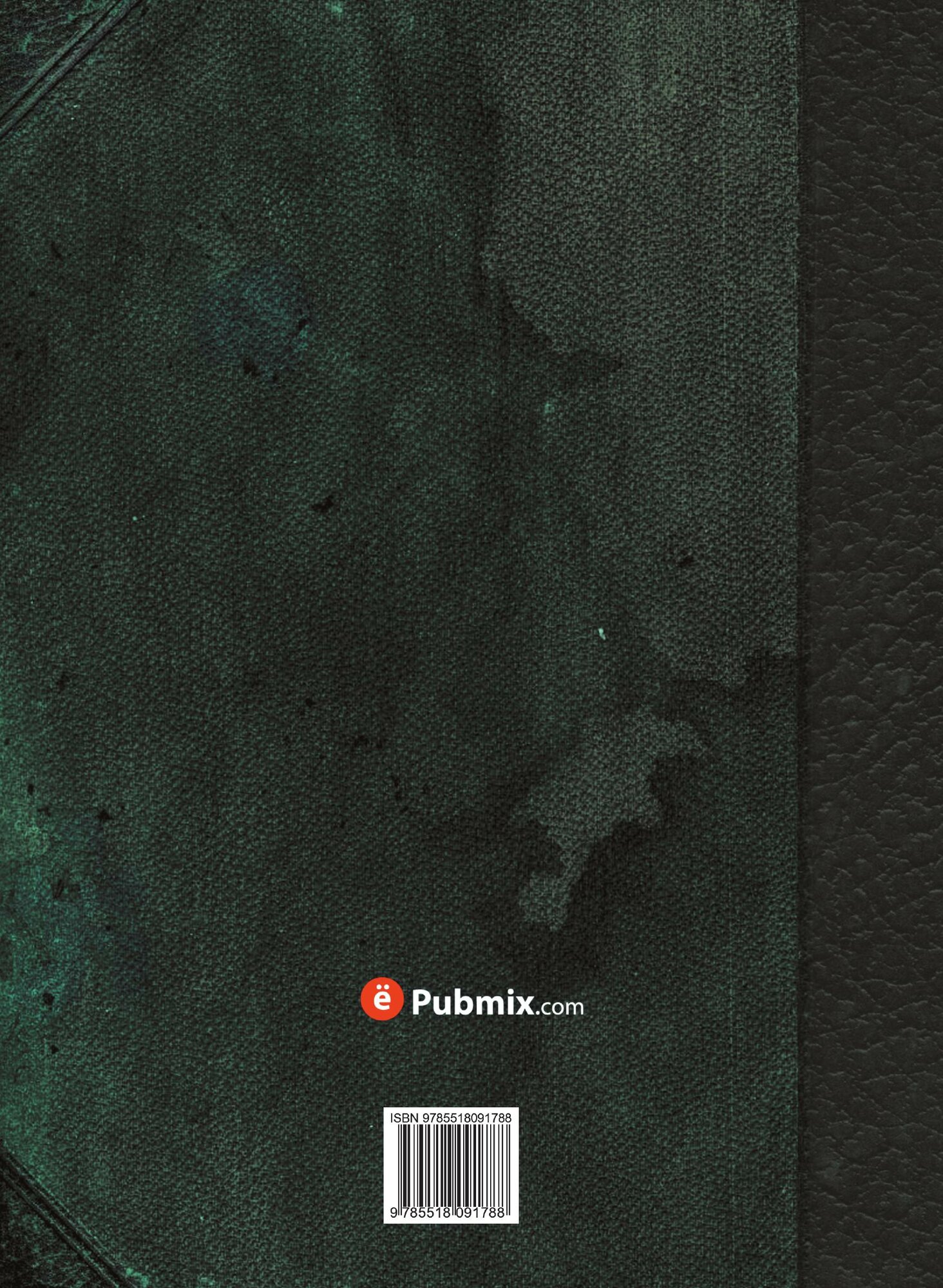 Книга История русов или Малой России - фото №2