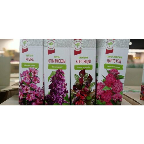 Набор для самостоятельной посадки 