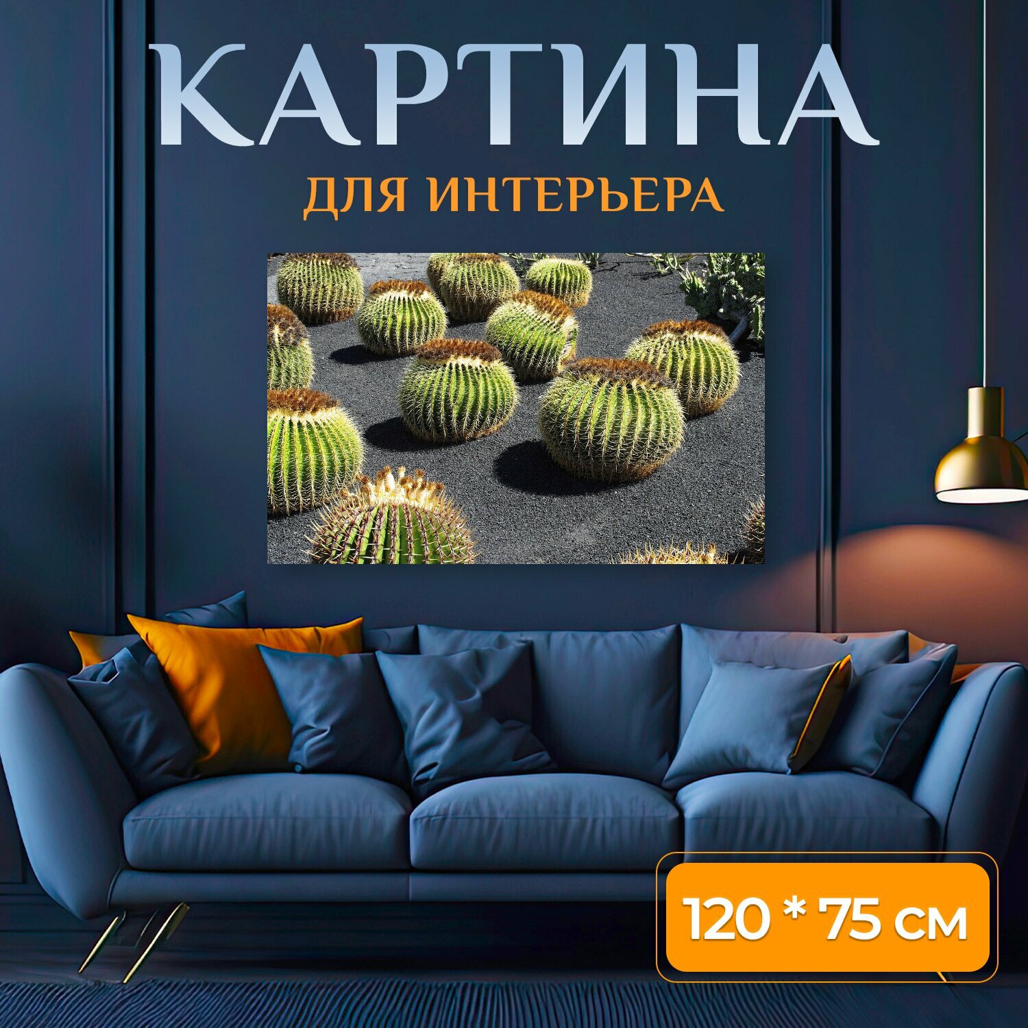 Картина на холсте "Лансароте, кактусовый сад, мачеха подушки" на подрамнике 120х75 см. для интерьера