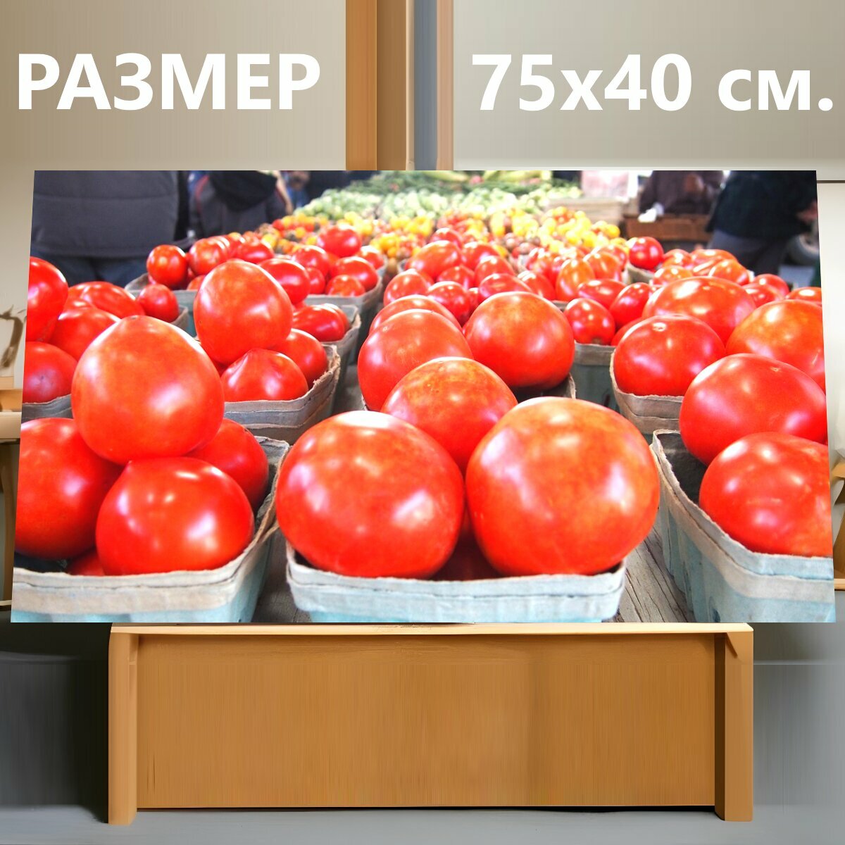 Картина на холсте "Овощи, помидоры, овощ" на подрамнике 75х40 см. для интерьера