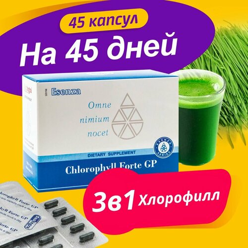Витамины для иммунитета Хлорофилл Santegra, жидкий хлорофилл в капсулах, 50 мг, 45 капсул, Сантегра