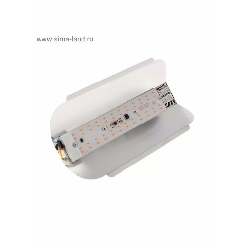 Фитопрожектор светодиодный Luazon СДО09-50 50 Вт IP65 220 1181₽