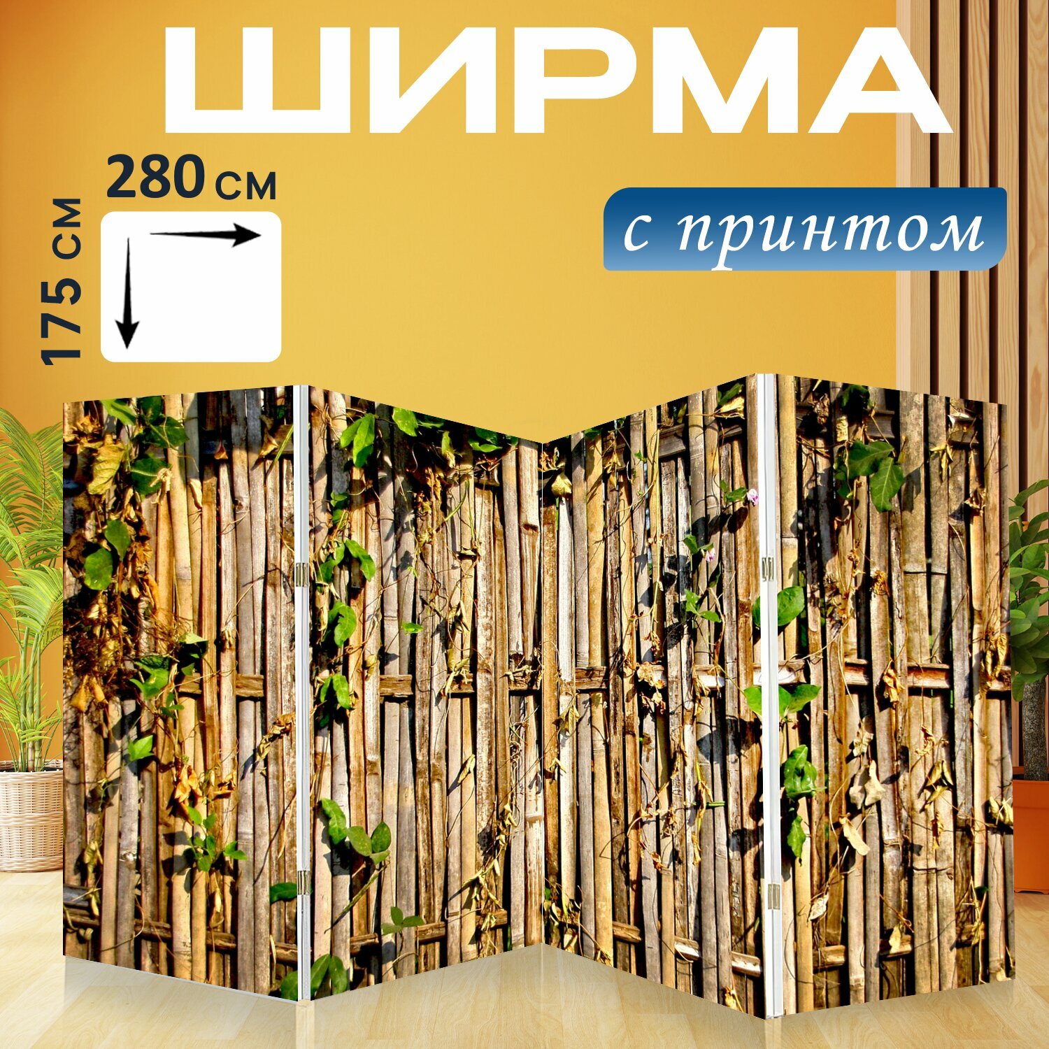 фото Ширма "Бамбук, природный матерал, тайский бамбук" раскладная перегородка для зонирования с принтом на холсте