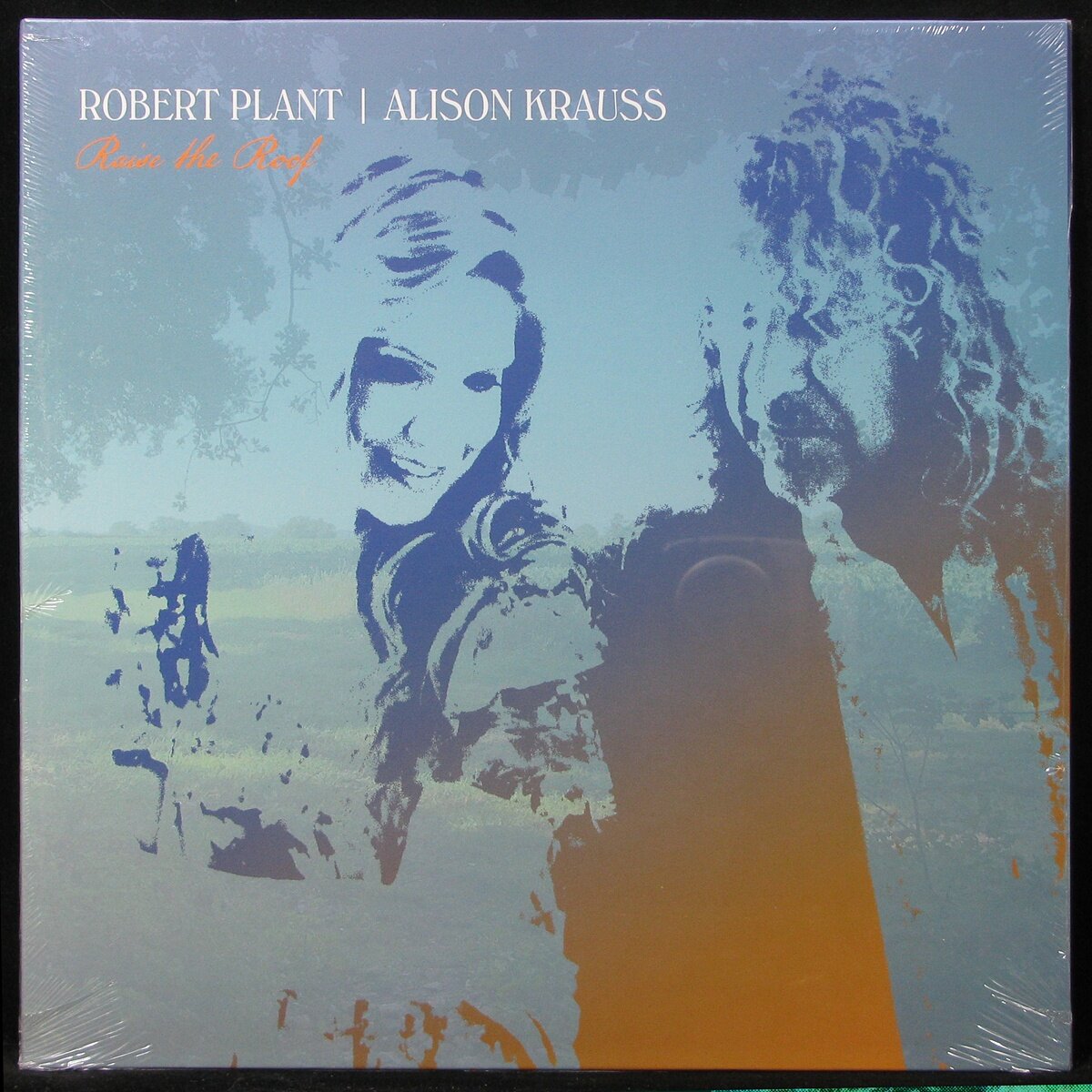 Виниловая пластинка Warner Robert Plant / Alison Krauss – Raise The Roof (2LP, clear yellow vinyl)