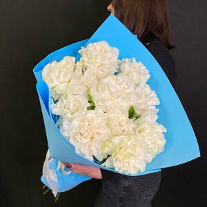 Основная фотография от вендора