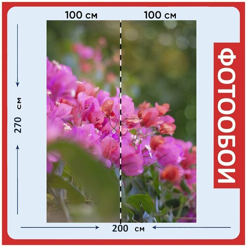 Фотообои Цветы розовый весна 200x270 см флизелиновыена стену 2940₽