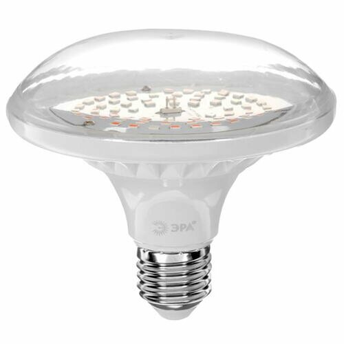 Фитолампа ЭРА FITO-18W-RB-E27 розовый 2097₽