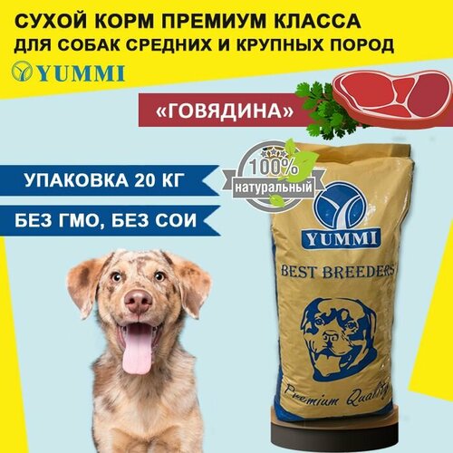 Сухой корм для собак премиум класса YUMMI (Юмми) Говядина 20 кг