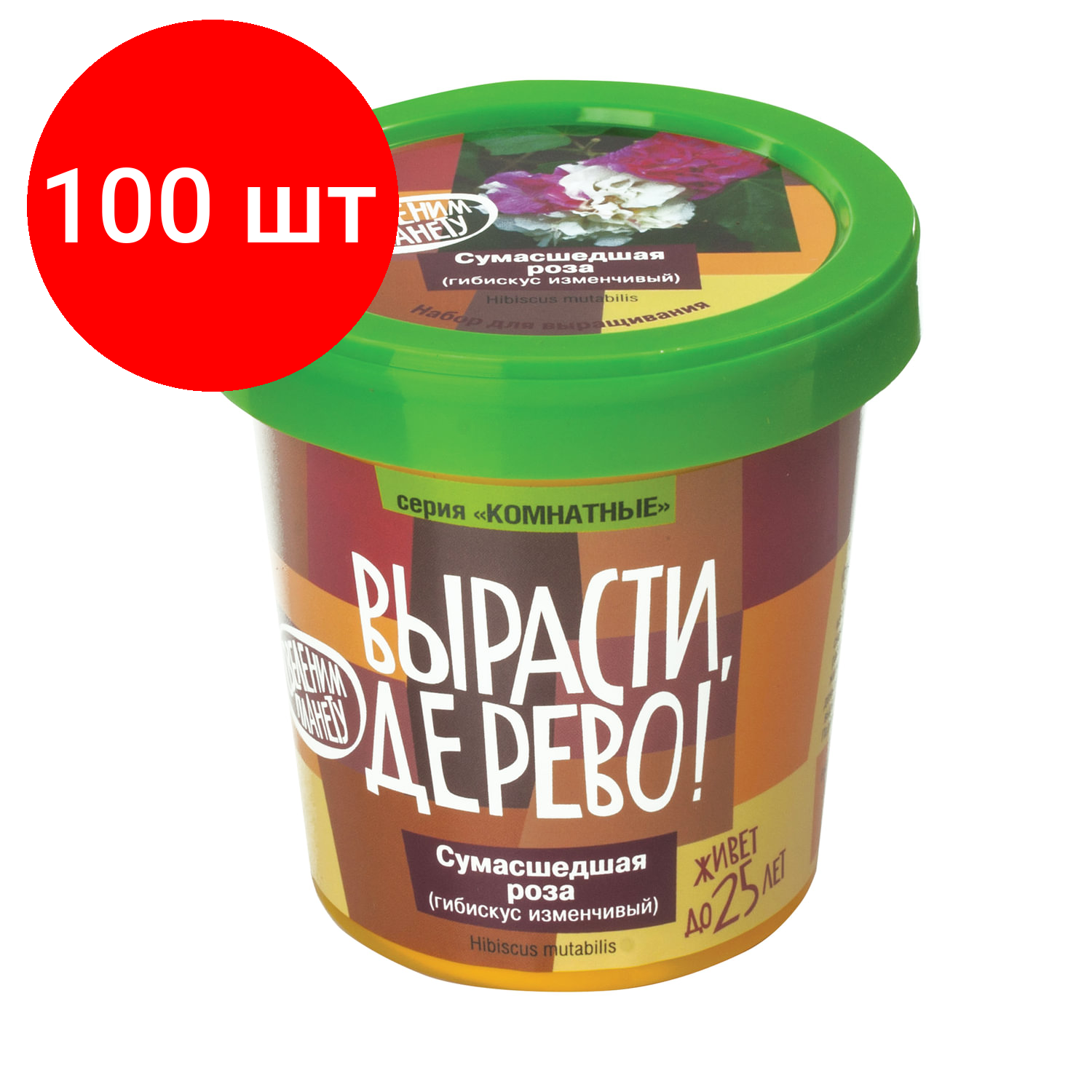 фото Набор для выращивания Вырасти, Дерево! Сумасшедшая роза