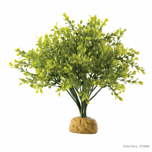 ​Искусственное растение Exo Terra EX Anthurium Bush PT2994​, Самшит Буш 29 см