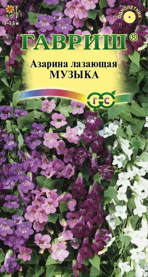 Цветы Азарина Музыка смесь 4шт Гавриш