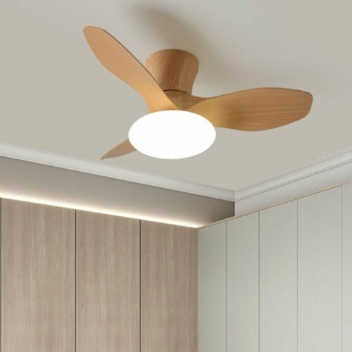 Современная простота моды декоративный вентилятор с источником света-fengxi 14121₽