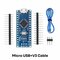 micro usb-cable
