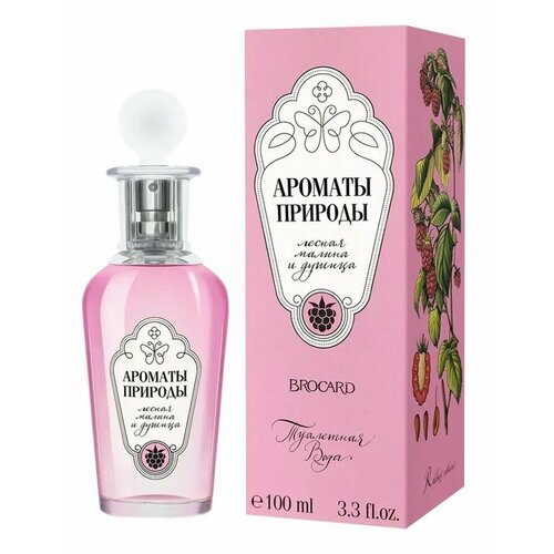 Ароматы Природы Лесная малина и Душица жен. т. в. 100 мл