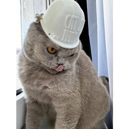 Строительная каска для кота, маленькой собаки