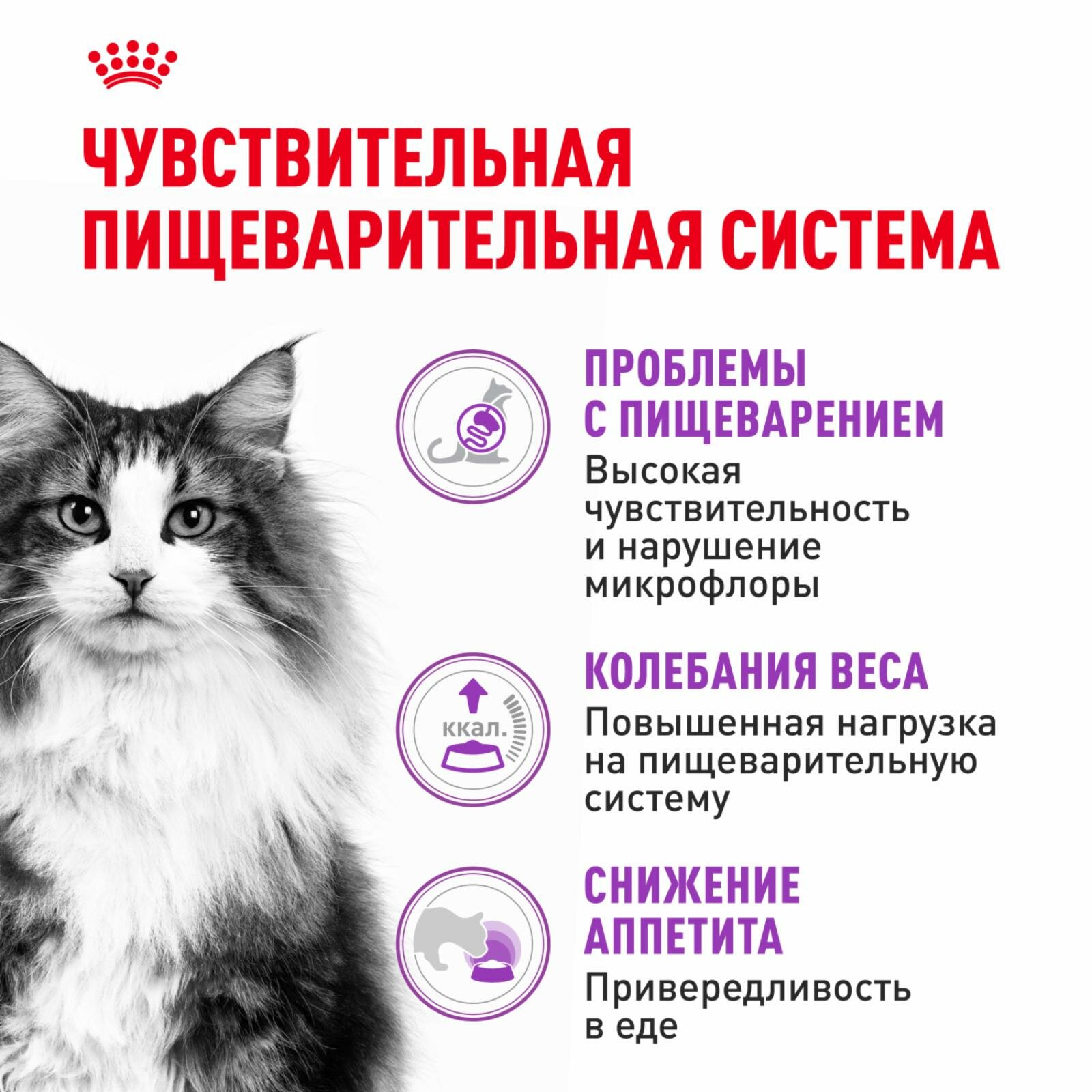 Royal Canin Корм сухой сбалансированный для взрослых кошек с чувствительной пищеварительной системой, Sensible 33 — фото 1