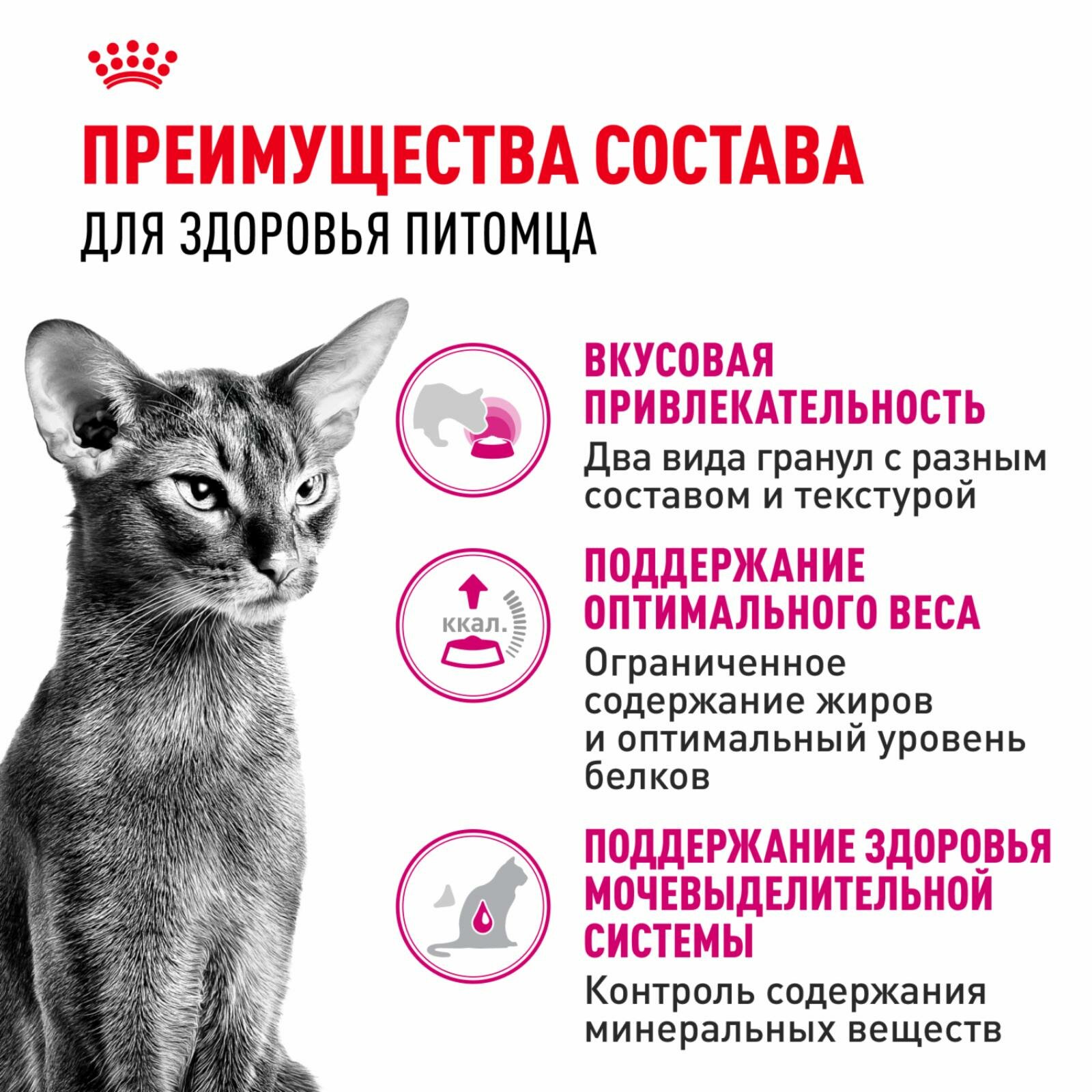 Royal Canin Корм сухой сбалансированный для привередливых взрослых кошек от 1 года, Savour Exigent — фото 1