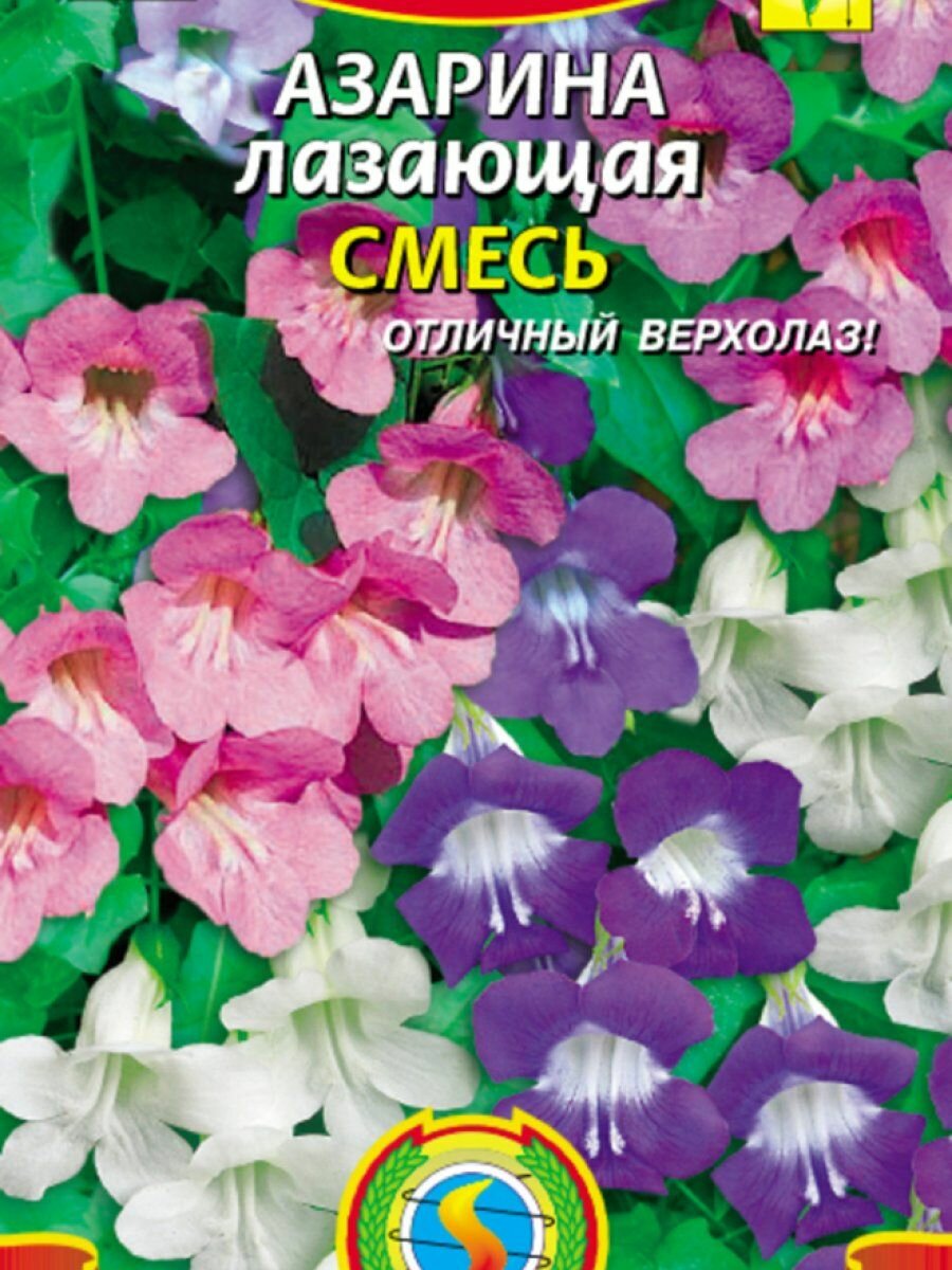 Семена Азарина лазающая Смесь 10 шт Плазменные семена