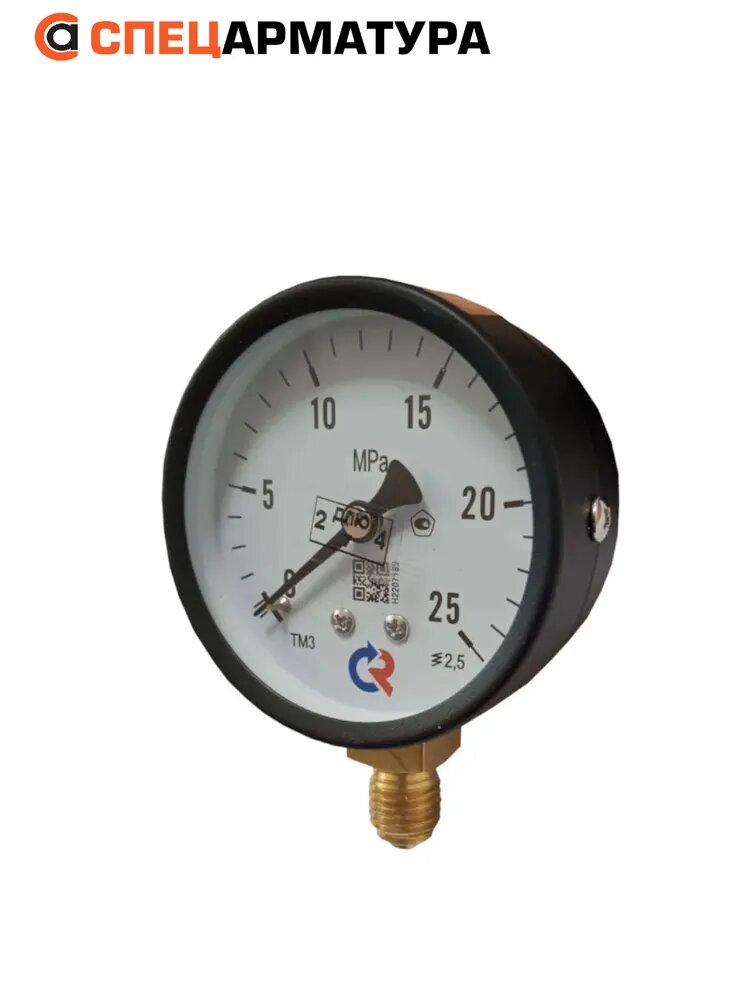 Манометр показывающий технический ТМ-310Р.00(0-25MPa)M12x1,5.2,5