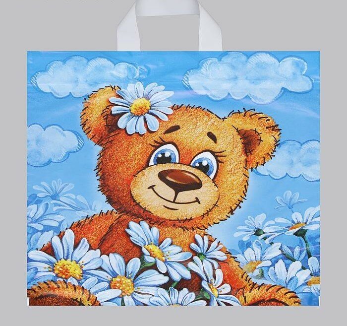 Пакет "Тоша", полиэтиленовый с петлевой ручкой, 40 х 42 см, 45 мкм