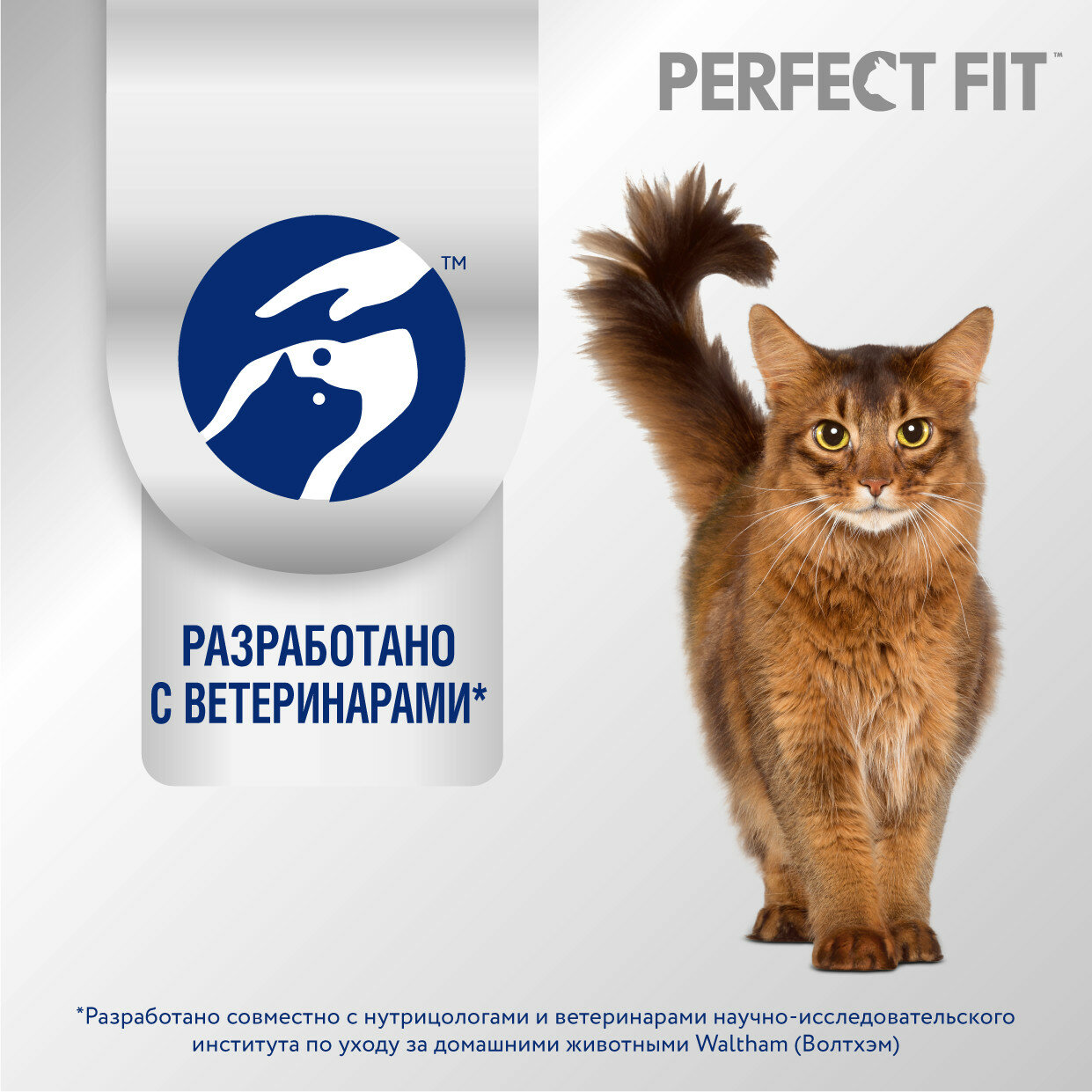 Cухой корм PERFECT FIT™ для котят от 2 до 12 месяцев, с курицей, 1.2кг