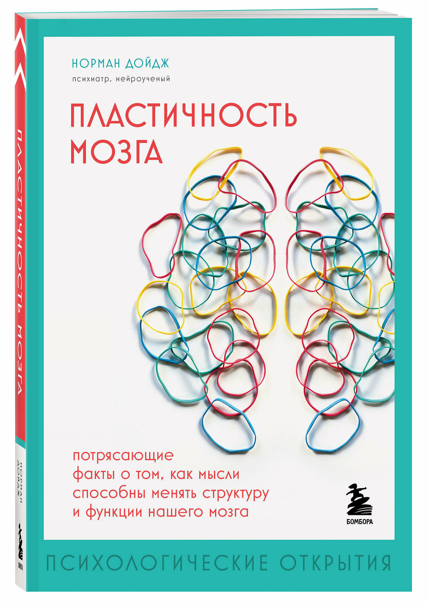 Пластичность мозга. Потрясающие факты о том, как мысли способны менять структуру и функции нашего мозга - фото №1