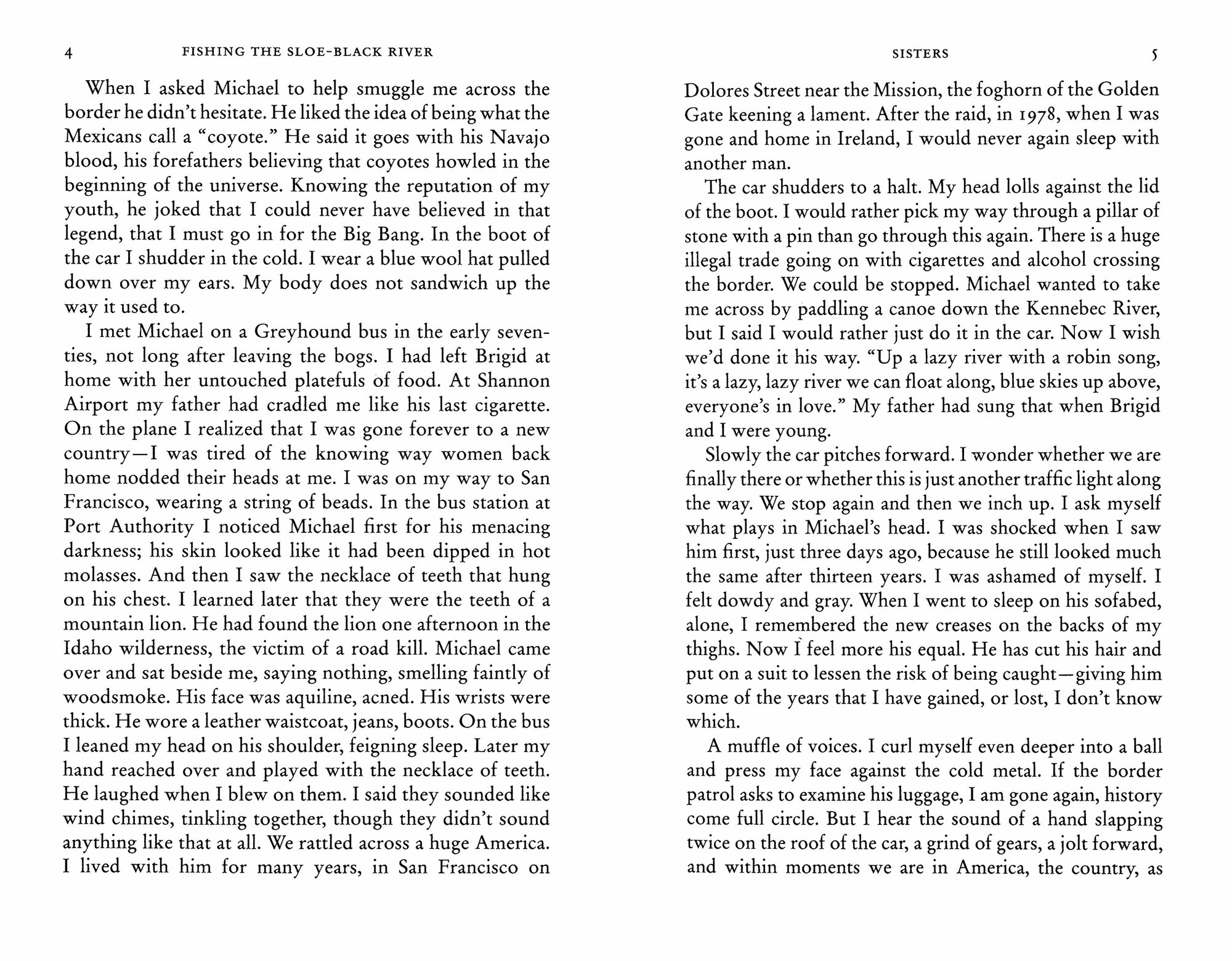 Fishing the Sloe-Black River / McCann Colum / Книга на Английском / Маккэнн Колум - фото №2