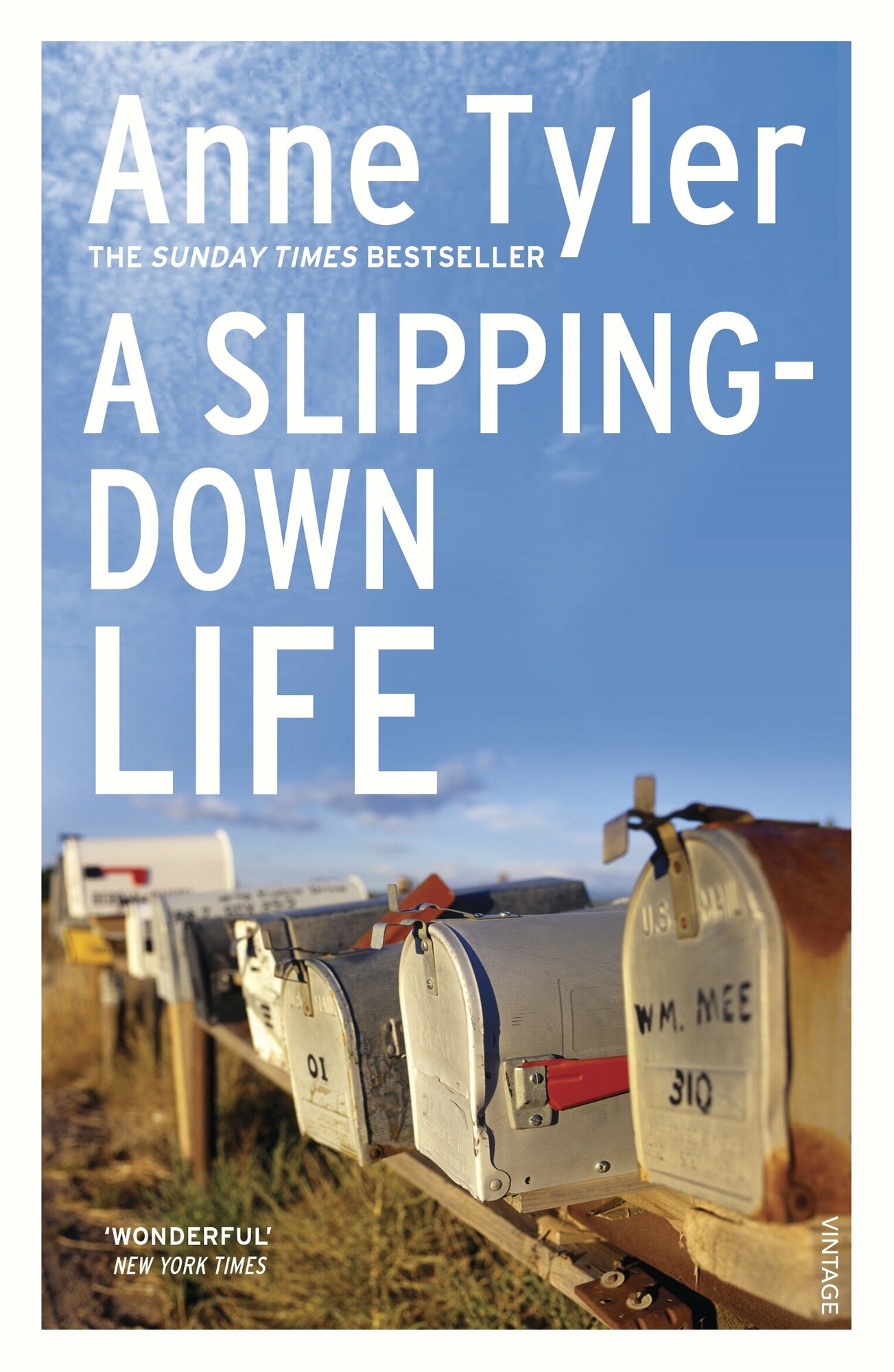 A Slipping Down Life / Книга на Английском - фото №1