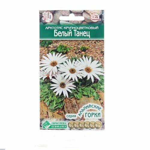 Семена цветов Арктотис крупноцветковый Белый Танец, 10 шт 3 шт