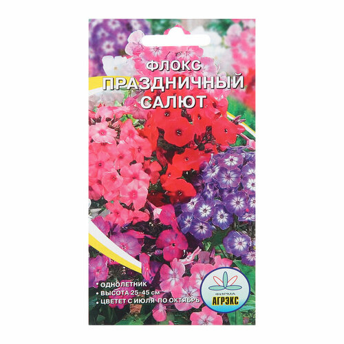 флокс киев праздничный Семена цветов Флокс Праздничный салют, 0,2 г 4 шт