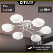 Citilux Флорида CL148160 Люстра потолочная Белая с патиной