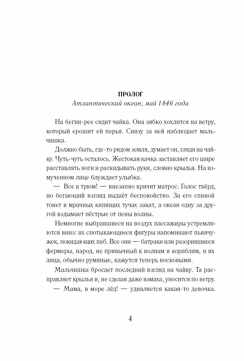 Второй шанс Роберта Уоррена (Згардоли Г.) - фото №3