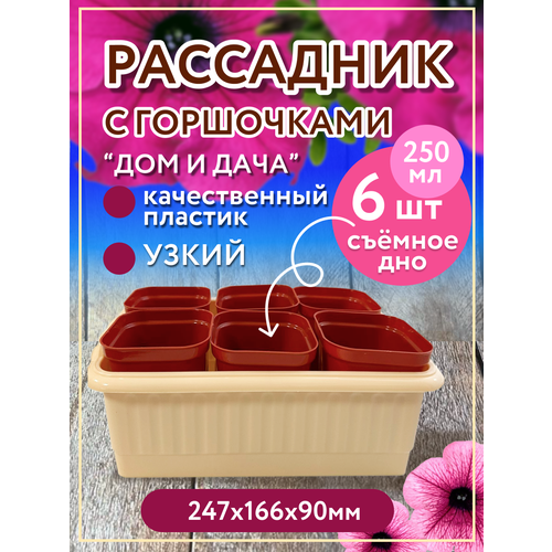 Рассадник на 6 стаканчиков (горшочков), бежевый рассадник на 14 стаканчиков цвет белый 600 180 130мм