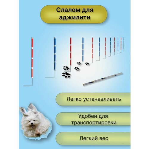 Слалом для аджилити (слалом для собак)