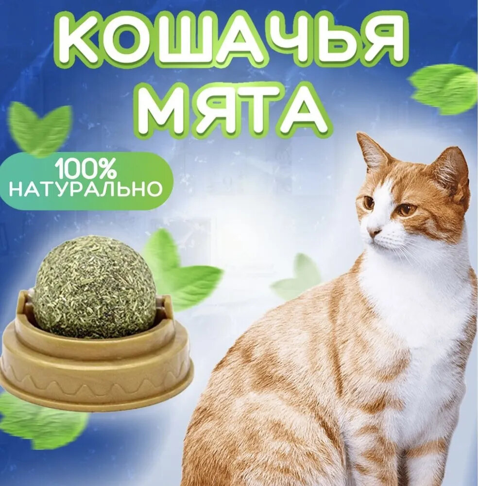 Игрушка для кошек: кошачья мята шарик, лакомство кошачий леденец на липучке