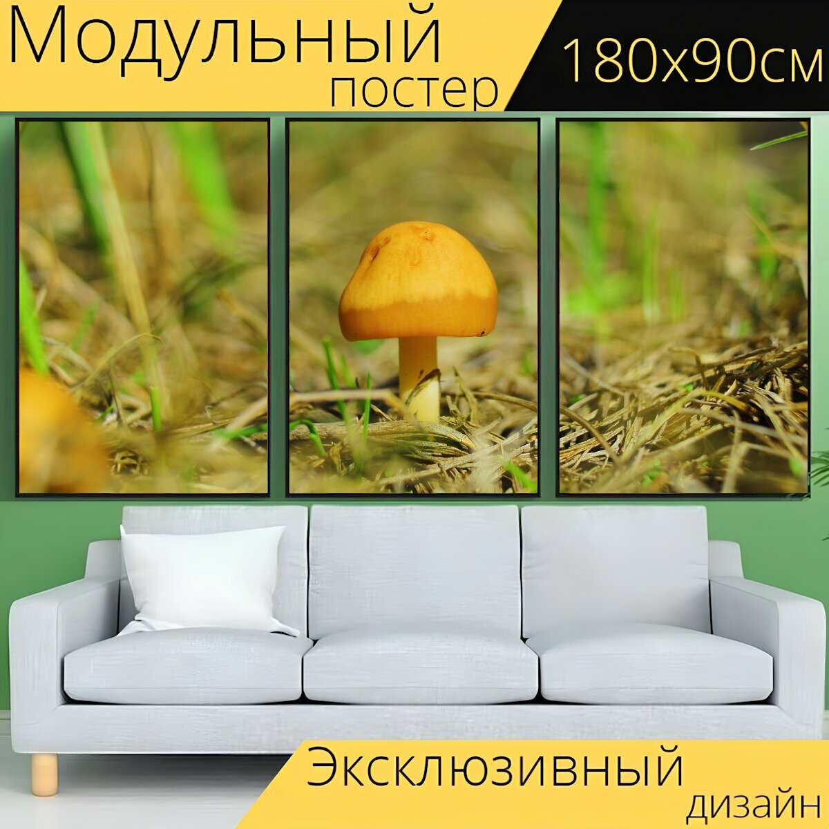 Модульный постер "Гриб, грибок, грибы" 180 x 90 см. для интерьера
