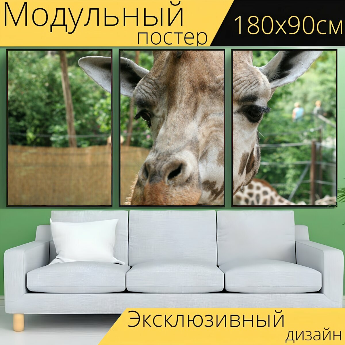 Модульный постер "Жирафа, голова, животное" 180 x 90 см. для интерьера